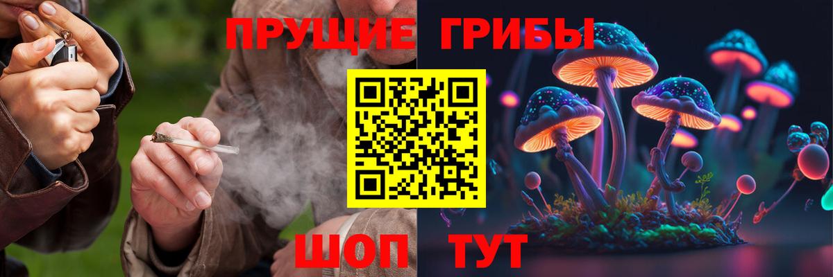 Галлюциногенные грибы Psilocybe Павловский Посад