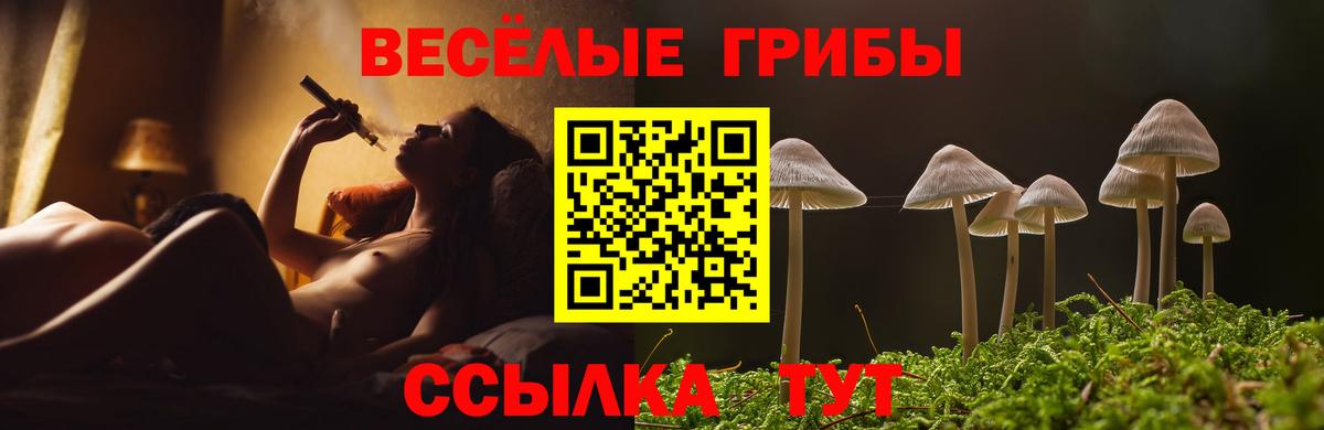 Павловский Посад  Псилоцибиновые грибы мухоморы  Вход с VPN 